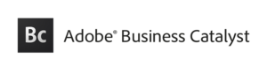 How to Set Up SPF for Adobe Business Catalyst?