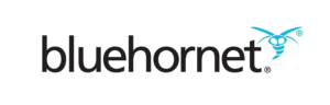 How to Set Up SPF for Bluehornet?