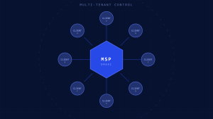 Multi-Tenant DMARC: Ultimate MSP Implementation Guide