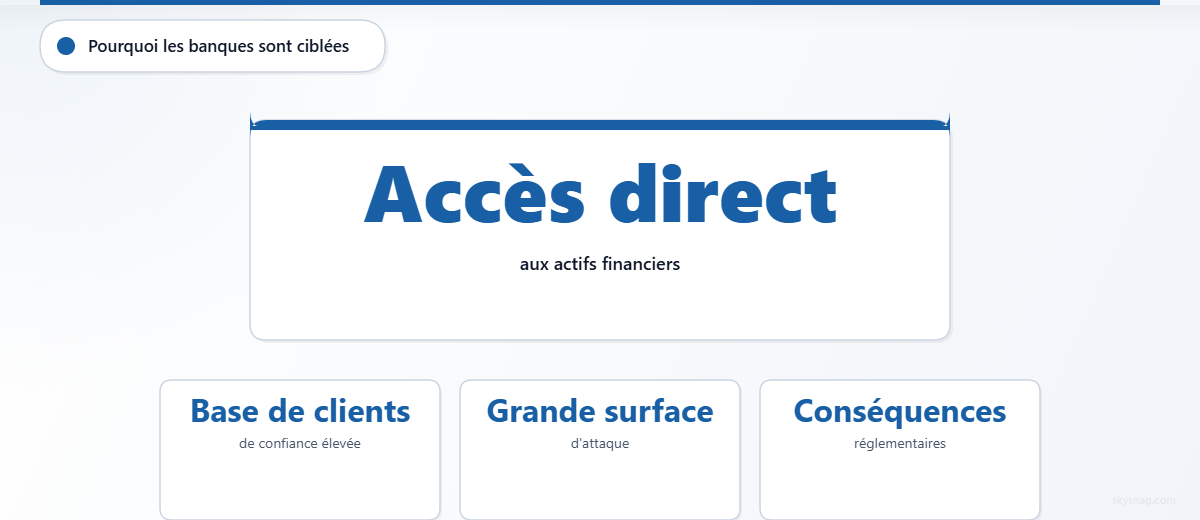Encadré présentant quatre raisons pour lesquelles les banques sont exposées à un risque accru d’usurpation de domaine